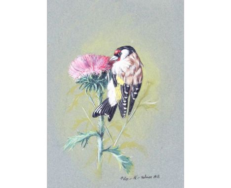 Peter R Holmes, pastel study of Goldfinch, signed and dated 1968, 26cm x 17cm&nbsp;