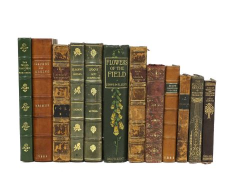 Collection of books, including: Bright, J S: A History of Dorking and the Neighbouring Parishes 1844, with a map and plates; 