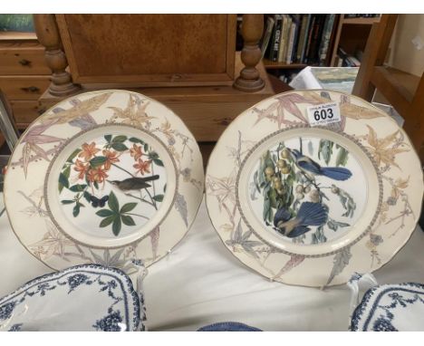 2 Royal Worcester collectors plates depicting birds of America 'Swainson's warbler' &amp; 'Florida Jay'