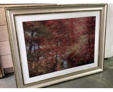 Large Framed and glazed print of autumn trees 92cm x 72cm.&nbsp;COLLECT ONLY