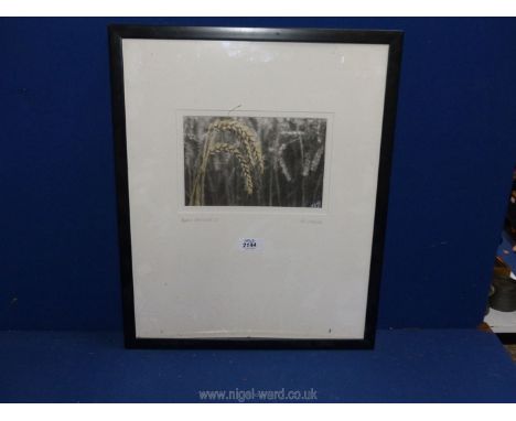 A Print 'Before Harvest 01' by M. Udall.