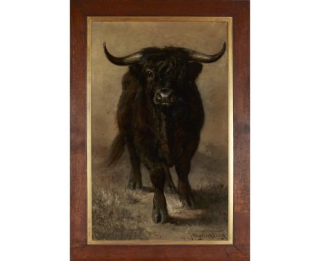 JOSEPH DENOVAN ADAM R.S.A., R.S.W. (SCOTTISH 1842-1896)  PORTRAIT OF A BULL   signed and dated 1885, oil on canvas  105cm x 6