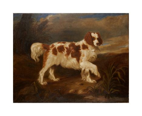 19TH CENTURY BRITISH SCHOOL    PORTRAIT OF A SPANIEL    oil on canvas, unframed    76cm x 99cm (29.75in x 38.75in) Select Con