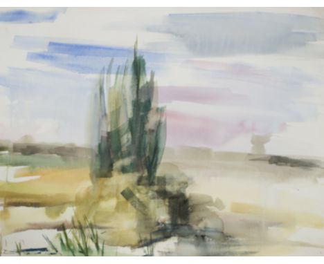 Constance B Nash (British 1921-2015)/Landscape Sketch with Cypress Tree/watercolour, 41cm x 51cm/and 32 other watercolour ske