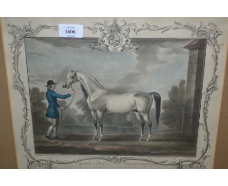 Set of four hand coloured stipple engravings after T. Spencer, by R. Houston of horses, gilt framed