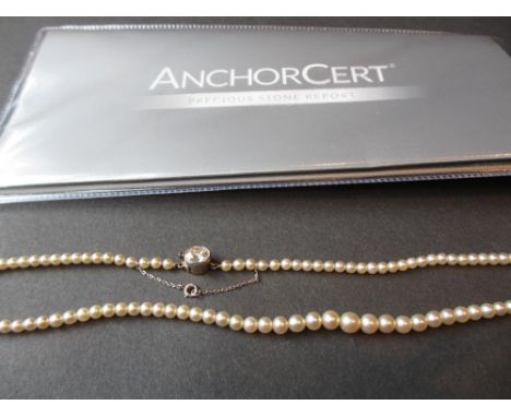 Fine natural saltwater graduated pearl necklace of one hundred and eight pearls, the largest measuring 5.93mm and the smalles