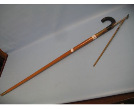 Early 20th Century hand stick