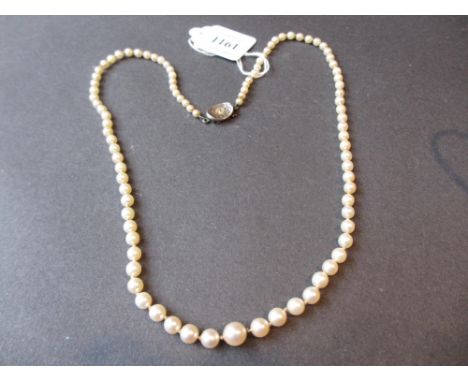 Graduated single row cultured pearl necklace with silver clasp