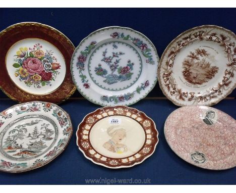 A quantity of plates to include; oriental Adams Tun stall plate 1884, oriental Copeland/Late Spode, Falcon Ware flower, Queen