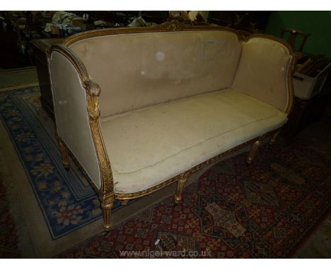 A large Louis XVI design three/four seater Sofa having exposed gilded wood and gesso frame decorated in relief with foliage a