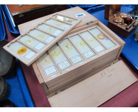 Doctors Medical Microscope Glass Slides, circa early XX Century, trays of six, specimens include 'Spleen from Typhoid Case', 