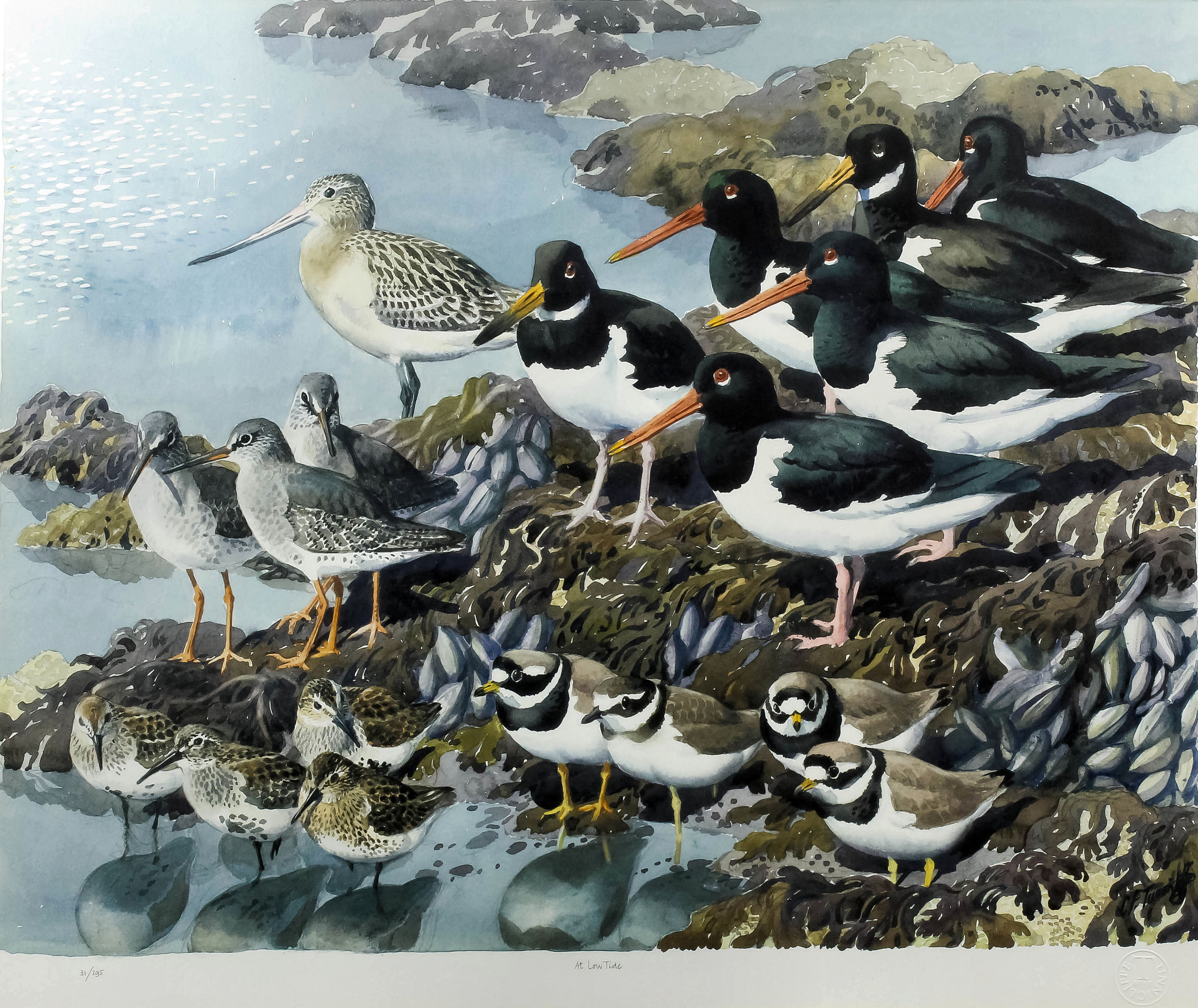 Charles Frederick Tunnicliffe (19011979) Limited edition colour
