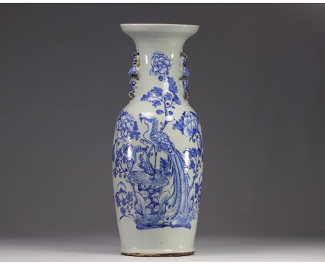 Chinese porcelain vase with phoenix design on a celadon background from the 19th century - Weight: 5.70 kg - Shipping unavail