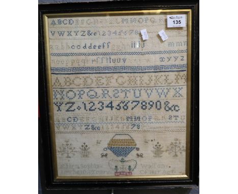Probably 19th Century framed tapestry sampler Ellen Sophia Walton 10th year of her age. 37 x 30cm approx. Framed and glazed.(