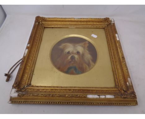 Twentieth century school portrait of a terrier, oil