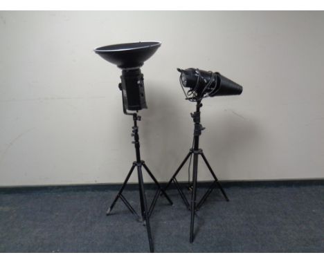 A Bowen's Gemini GM500C spot lamp together with a Lencarta smart flash light. Both on stands. 