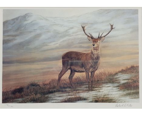 Robert E Fuller (British 1972-): Highland Stag, colour print signed and numbered 119/300 in pencil 23cm x 31cmClick here to v