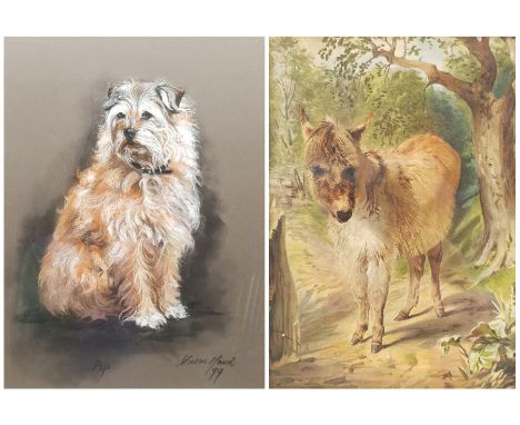 Susan Maud (British 20th century): 'Pip' - Portrait of a Terrier, pastel signed titled and dated '99, 43cm x 32cm, and a 19th