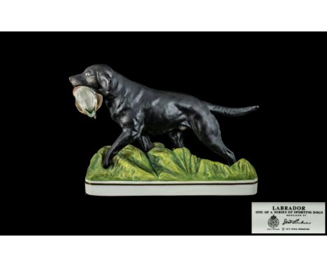 Royal Worcester Hand Painted Sporting Dog Figure ' Sporting Dog Series - Labrador ' Modelled by Doris Lindner. Date 1975. 1st