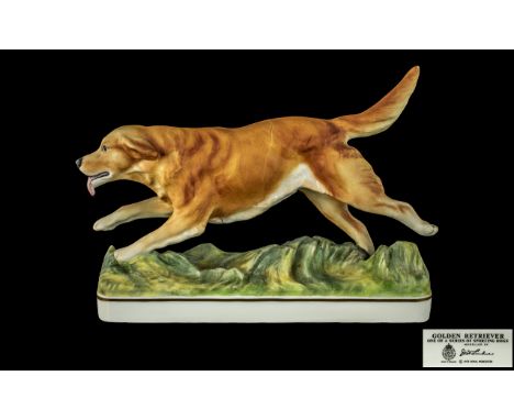 Royal Worcester Hand Painted Porcelain Sporting Dog Figure - Sporting Dog Series ' Golden Retriever ' Modelled by Doris Lindn