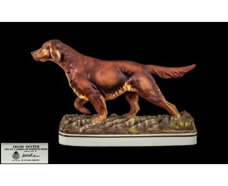 Royal Worcester Hand Painted ' Sporting Dog Figure ' Sporting Dog Series ' Irish Setter ' Modelled by Doris Lindner. Date 197