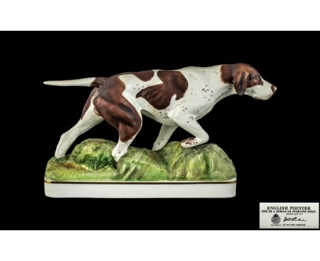 Royal Worcester Hand Painted - Sporting Dog Series ' English Pointer ' Modelled by Doris Lindner. Date 1975. 1st Quality &amp