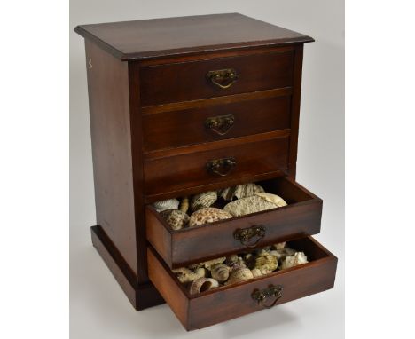 Natural History - a late Victorian mahogany table-top collector's chest, oversailing skirted top above an arrangement of five