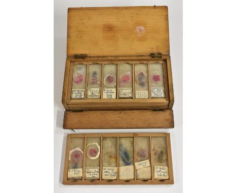 A collection of microscope slides, various pathological samples annotated in ink manuscript, inscribing Nutmeg Liver (congest