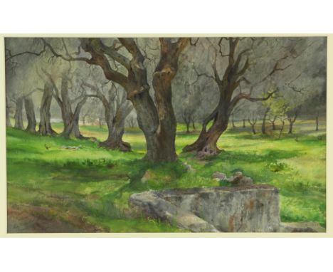 Anne Elizabeth Dundas (British, 1830-1917), 'Woodland scene, Lord Rendell's Park, Cannes'. Watercolour. Signed and titled in 