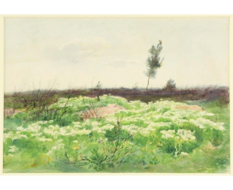 Anne Elizabeth Dundas (British, 1830-1917), view over summer pasture. Watercolour. Monogrammed in pencil lower left. 25.5 x 3