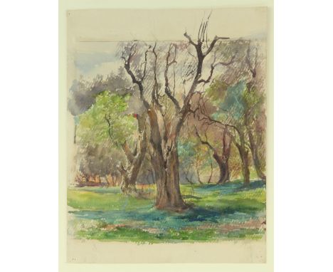 Anne Elizabeth Dundas (British, 1830-1917), 'Old Olives, near Francesca, Cannes'. Watercolour. Monogrammed and titled in penc