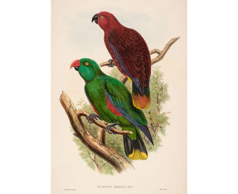 * Gould (John). Five lithographs originally published in "The Birds of New Guinea and the adjacent Papuan Islands, including 