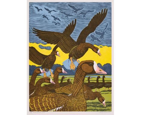 AR * Gillmor (Robert, 1936-2022). White-fronted Geese, linocut, signed to lower right margin, numbered 18/18, image size 40.5
