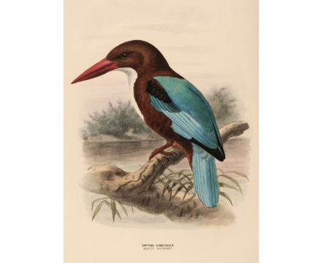 Dresser (Henry Eeles). A History of the Birds of Europe, including all the species inhabiting the Western Palaearctic Region,