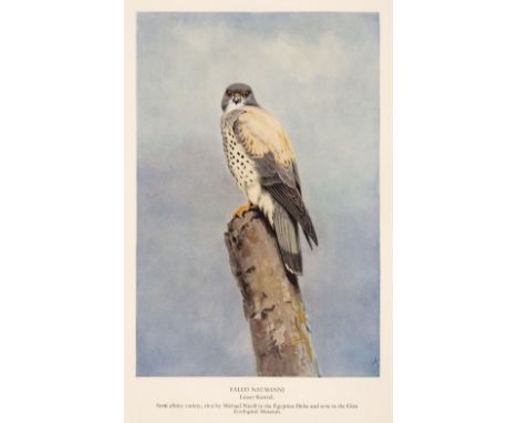 Meinertzhagen (Richard). Nicoll's Birds of Egypt, 2 volumes, 1st edition, London: Hugh Rees, 1930, portrait frontispiece to v