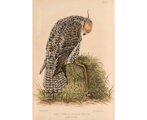 Salvin (Francis Henry, &amp; William Brodrick). Falconry in the British Isles, 2nd edition ('revised and enlarged'), London: 