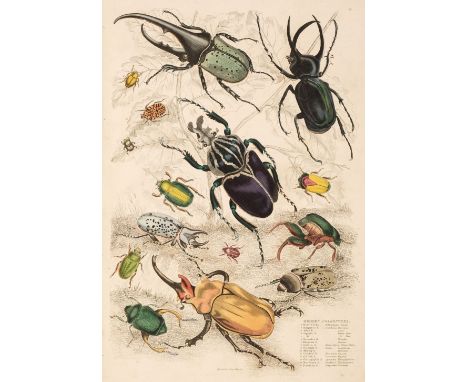 Macgillivray (William). The Edinburgh Journal of Natural History, and of the Physical Sciences with the Animal Kingdom of the