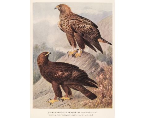 Swann (H. Kirke &amp; Alexander Wetmore, editor). A Monograph of the Birds of Prey (Order Accipitres), 2 volumes, London: Whe
