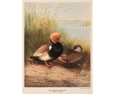 Millais (J.G.) British Diving Ducks, 2 volumes, London: Longmans, Green and Co., 1913, 74 plates by Archibald Thorburn, O. Mu