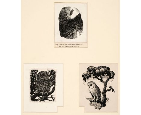 AR * Tunnicliffe (Charles Frederick, 1901-1979). Three scraperboard engravings, one of an oak tree with a woodpecker, two of 