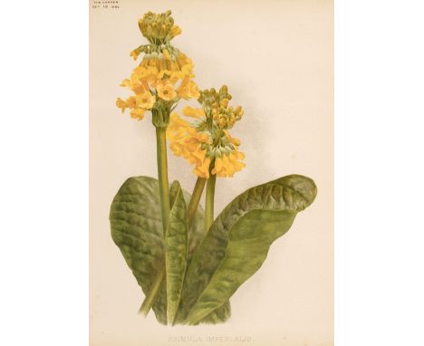 The Garden. An Illustrated Weekly Journal, 8 volumes, 1881-1914, a broken run, chromolithographic plates throughout, spotted,
