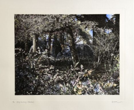 Jennifer Dickson RA (British, b.1936), 'Spring Sanctuary, (Blenheim)', signed limited edition print, 5/30, 43cm x 47cm.    