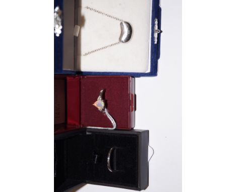 2 Silver rings and a chain with silver pendent 