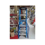 Werner 6' Fiberglass Stepladder