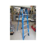 Werner 6' Fiberglass Stepladder