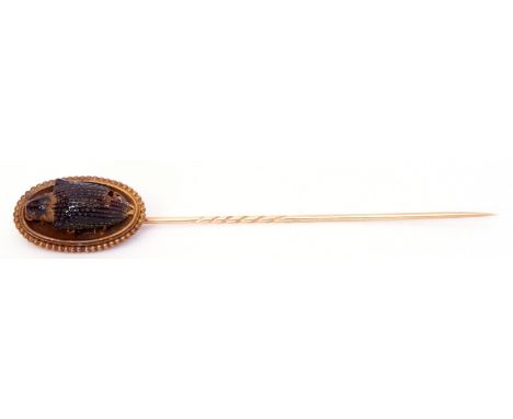 Antique large scarab beetle finial stick pin, 3 x 1.5cm, oval shaped in a yellow metal frame and pin, 10cm long