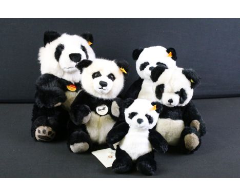 Five Steiff Panda bear soft toys to include Manschli (064258 - with tags), Panda Ted (010620 - with tags), Ming Panda (075766