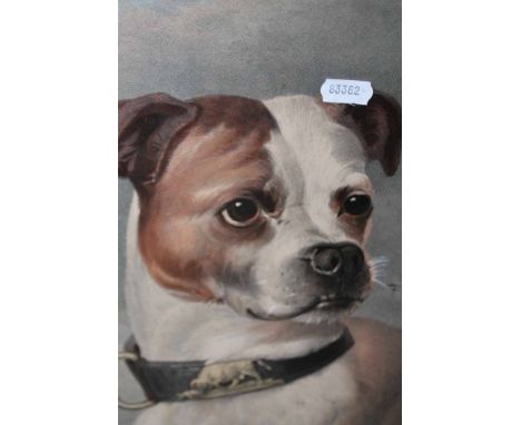 19TH CENTURY PRINT OF 'ROSE: A GRANDDAUGHTER OF THE DOG BILLY'
by Charles Fairland from a picture by E. Morley, published May
