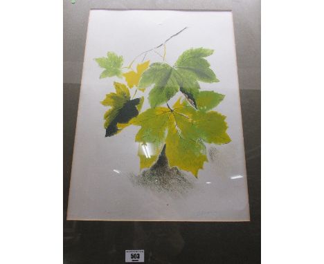 After Phoebe Donovan RUA (Ireland 1902-1998) Limited Edition Print Leaves 47x35 cm approx Signed and numbered in pencil.