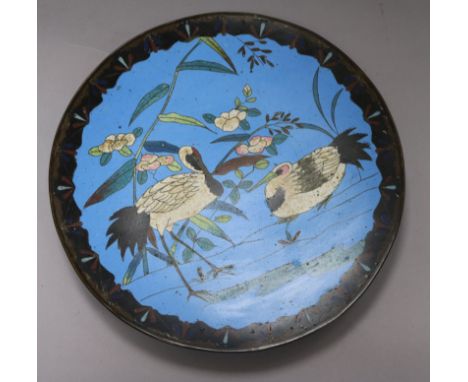 Five Japanese cloisonne enamel dishes of birds amid flowers diameter 30cm